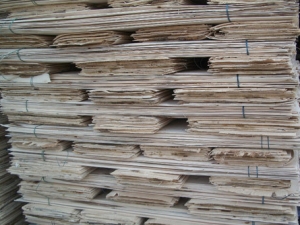 Plywood Veneers Manufacturer Supplier Wholesale Exporter Importer Buyer Trader Retailer in Yamunanagar Haryana India